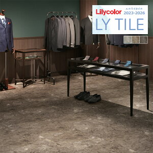 yi1s3jzJ GC^C 2023-2026 STONE VAuE LYT84198 LYT84199 LYT84200 y18ȏ1Pʂł̔̔z LY^C / tA^C / Xg[