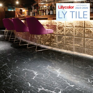 yiEXցjzJ GC^C 2023-2026 STONE OC~Xg LYT84212 y18ȏ1Pʂł̔̔z LY^C / tA^C / Xg[