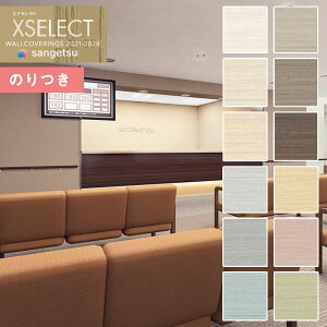 yi1s3jzǎ ̂tǎ NX TQc XSELECT 2021-2024 GNZNg SGA2463`SGA2474 Color Selection y3mȏ1mPʂł̔̔ẑǎ