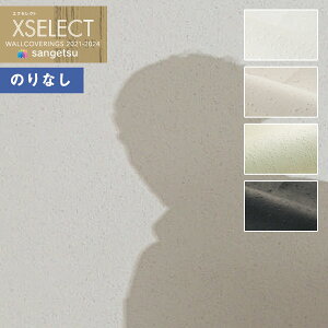 yi1s3jzǎ ̂Ȃǎ NX TQc XSELECT 2021-2024 GNZNg SGB2021`SGB2024 JQgqJ Ԃԁy1mȏ10cmPʂł̔̔z