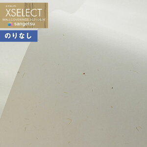 yi1s3jzǎ ̂Ȃǎ NX TQc XSELECT 2021-2024 GNZNg SGB2066 SHITSURAHI ay1mȏ10cmPʂł̔̔z