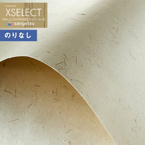 yi1s3jzǎ ̂Ȃǎ NX TQc XSELECT 2021-2024 GNZNg SGB2067 SHITSURAHI ay1mȏ10cmPʂł̔̔z