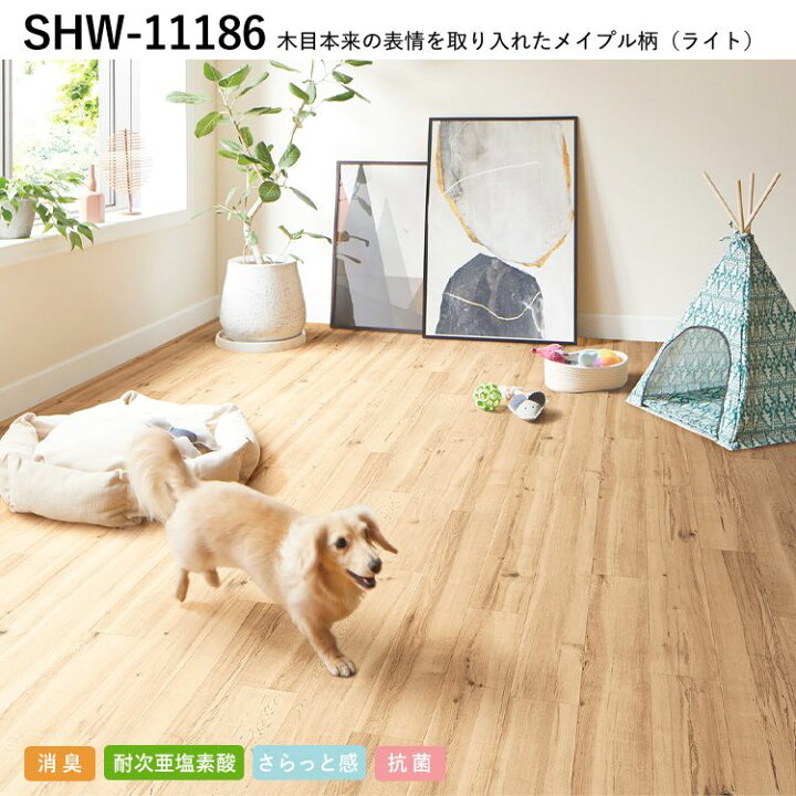 楽天市場】【初売り】【しっかり丈夫】 1m以上10cm単位で販売 