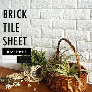 ySiΏۃN[|zzz NbVubN KV[ 6Zbg  CN 3Dǎ NbVV[g   ǖʑ ͗lւ CeA zCg ubN   ǎ