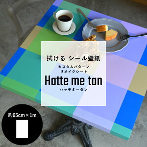 ySiΏۃN[|zzz @ ǎ V[ JX^p^[ CNV[g Hatte me tan nbe~[^ 65cm×1m Lb`Lrlbg e[u CN hbg XgCv `F