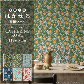 25日30名様20％OFFクーポン 壁紙 シール リメイクシート 65cm × 1m はがせる シール 壁紙 Hatte me (ハッテミー) Catherine Rowe キャサリン・ロウ 1m 壁紙屋本舗