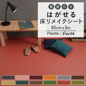 ySiΏۃN[|zzz p CNV[g n 65cm×3m ͂ V[^Cv Hatte me Floor Palette (nbe~[tA pbg) Earth A[X Lb` gC   h~ h 