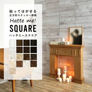 ySiΏۃN[|zzz ǎ V[ ͂ ǎ CN V[g V[^Cv  ؖ Ebh Hatte me! Square nbe~[XNGA Ebh ؖڃZNV p[Pbg 42cm×42cm 6