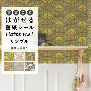 ySiΏۃN[|zzz ǎ V[ ͂ ǎ CN V[g V[^Cv  IWi Hatte me! nbe~[ }ďW1 g NVbN ԕ Lb` h e[u 