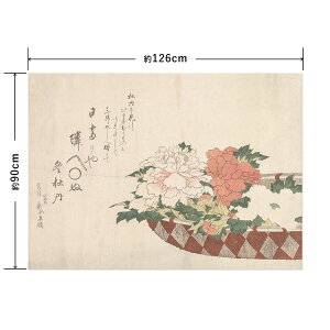 ySiΏۃN[|zzz A[g|X^[ ŉx\͂ OK ̂t Hattan Art Poster nb^A[g|X^[ k ~O / HP-00546 SEMELELLTCY   \