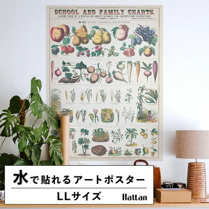 ŉx\͂ A[g|X^[ OK ̂t Hattan Art Poster nb^A[g|X^[ School and family charts, No. XXI. Botanical: economical uses of plants / HP-00018 LLTCY(90cm×120cm)  