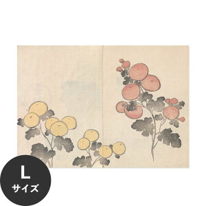 �y�ő�30���N�[�|���z�z���z �������ŉ��x���\���͂����� �A�[�g�|�X�^�[ ����OK �̂�t�� Hattan Art Poster �n�b�^���A�[�g�|�X�^�[ ���ԉ效 �e / HP-00142 L�T�C�Y(90cm×64cm) ���� �� �\��� �ǎ�