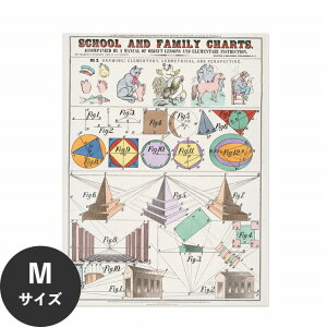 【全品対象クーポン配布中】 水だけで何度も貼れるはがせる アートポスター 賃貸OK のり付き Hattan Art Poster ハッタンアートポスター School and family charts / HP-00196 Mサイズ(45cm×60cm) 砂壁 に 貼れ