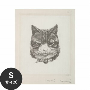 ySiΏۃN[|zzz ŉx\͂ A[g|X^[ OK ̂t Hattan Art Poster nb^A[g|X^[ T?te de chat. / HP-00226 STCY(36cm×45cm)   \ ǎ