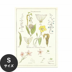 【全品対象クーポン配布中】 水だけで何度も貼れるはがせる アートポスター 賃貸OK のり付き Hattan Art Poster ハッタンアートポスター Portfolio, Historic Ornament Pl 37 / HP-00257 Sサイズ(32cm×45cm) 砂壁