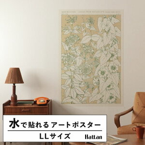 ySiΏۃN[|zzz ŉx\͂ A[g|X^[ OK ̂t Hattan Art Poster nb^A[g|X^[ Leaves from Nature No.9 / HP-00259 LLTCY(90cm×134cm)   \