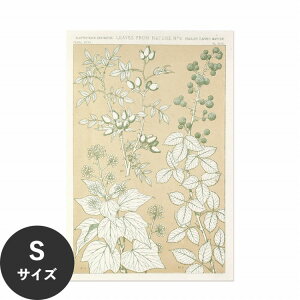 ySiΏۃN[|zzz ŉx\͂ A[g|X^[ OK ̂t Hattan Art Poster nb^A[g|X^[ Leaves from Nature No.6 / HP-00260 STCY(30cm×45cm)   \