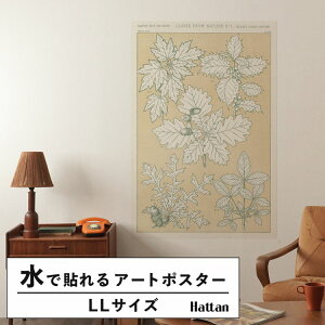 ySiΏۃN[|zzz ŉx\͂ A[g|X^[ OK ̂t Hattan Art Poster nb^A[g|X^[ Leaves from Nature No.5 / HP-00261 LLTCY(90cm×134cm)   \