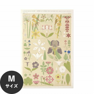 ySiΏۃN[|zzz ŉx\͂ A[g|X^[ OK ̂t Hattan Art Poster nb^A[g|X^[ Leaves and flowers from Nature No.8 / HP-00262 MTCY(45cm×67cm)  