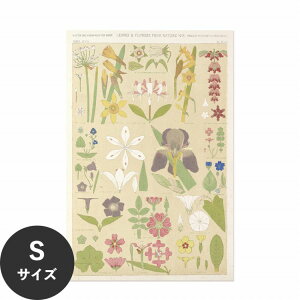ySiΏۃN[|zzz ŉx\͂ A[g|X^[ OK ̂t Hattan Art Poster nb^A[g|X^[ Leaves and flowers from Nature No.8 / HP-00262 STCY(30cm×45cm)  
