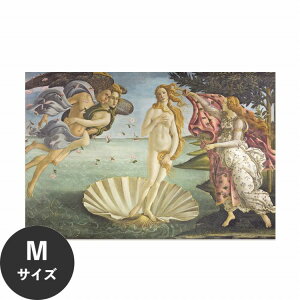 ySiΏۃN[|zzz ŉx\͂ A[g|X^[ OK ̂t Hattan Art Poster nb^A[g|X^[ Birth Of Venus / HP-00264 MTCY(67cm×45cm)   \ ǎ