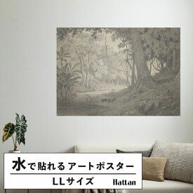 水だけで何度も貼れるはがせる アートポスター 賃貸OK のり付き Hattan Art Poster ハッタンアートポスター Forest Scenery near Tamana / HP-00428 LLサイズ(126cm×90cm) 砂壁 に 貼れる 壁紙ポスター 壁紙屋本舗