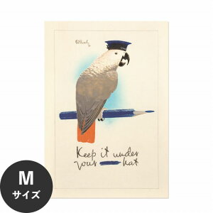 ySiΏۃN[|zzz ŉx\͂ A[g|X^[ OK ̂t Hattan Art Poster nb^A[g|X^[ Keep it under your - hat / HP-00440 MTCY(45cm×64cm)   \