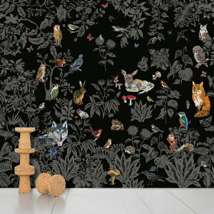 ̐XɏW̕ǎ Domestic / hXeBbN Foret Noire i^[e Aǎi^[Ee X ǎ  ubN NDL041 i^[ e t[X(sDz)(372cm×3m 8pl 1Zbg
