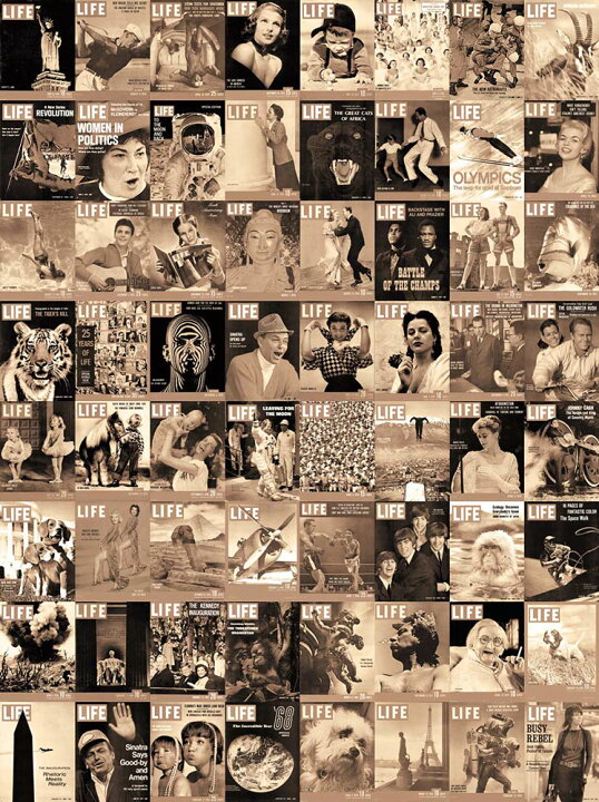 楽天市場 輸入壁紙 コラージュタイプの壁紙 イギリス製 1 Wall ワンウォール Creative Collage 1セット 横27 5cm 縦37 5cm 64枚 単位で販売 国内在庫 あす楽対応 壁紙屋本舗 カベガミヤホンポ