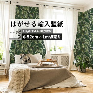 ySiΏۃN[|zzz ͂ A ǎ OnEAhEuE 106413 52cm×1m ݌ t[Xǎ CMX GRAHAM & BROWN / ELEGANT LEAVES ǎ{