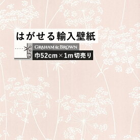 楽天市場 ボタニカル 壁紙 壁紙 装飾フィルム インテリア 寝具 収納の通販 楽天市場 ボタニカル 壁紙 壁紙 装飾フィルム インテリア 寝具 収納の通販