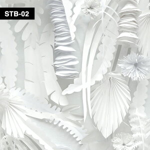 �y�ő�25���N�[�|���z�z���z �A���ǎ��̐؂蔄��i����48.7cm×1m�P�ʂŐؔ��jNLXL / MONOCHROME WALLPAPER NLXL / ���m�N���[���E�E�H�[���y�[�p�[ PAPER FLOWERS WALLPAPER BY STUDIO BOOT STB-02�y�����݌Ɂz