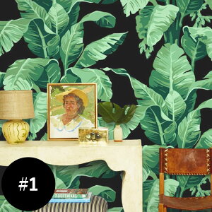 ySiΏۃN[|zzz ͂ ǎ V[wallshoppe(EH[Vbv) / Pacifico Palm-Onyx #1\Ă͂ V[ ǎ CNV[g