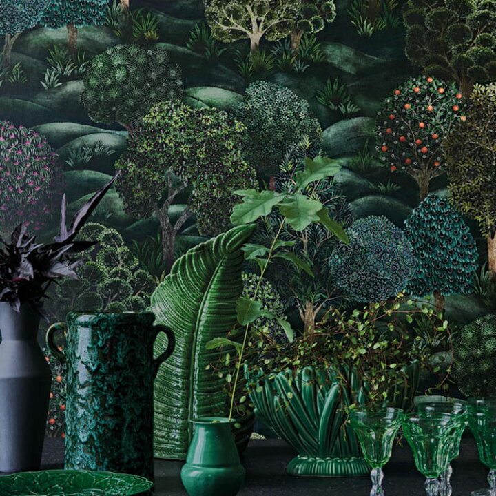 楽天市場】輸入壁紙 Cole&Son(コール・アンド・サン) BOTANICAL  