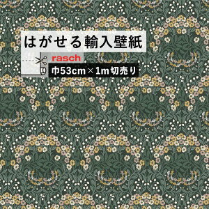 ySiΏۃN[|zzz ͂ A ǎ bV 710045 53cm×1m ݌ t[Xǎ hCc rasch / ǎ{