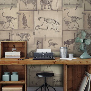 ySiΏۃN[|zzz Aǎ}ChEUEMbv WP20236t[X(sDz)(156cm×3m 3pl 1ZbgPʂŔ̔j