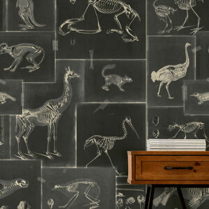 ySiΏۃN[|zzz Aǎ}ChEUEMbv WP20237t[X(sDz)(156cm×3m 3pl 1ZbgPʂŔ̔j