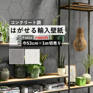 ySiΏۃN[|zzz ͂ A ǎ bV 427127A427110 53cm×1m ݌ t[Xǎ hCc rasch / Brick Lane ǎ{