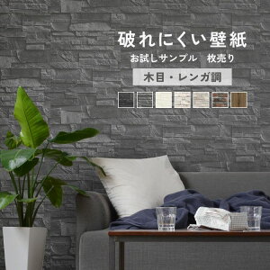 ySiΏۃN[|zzz Aǎ A4 Tv  NX \ւ ȕǎDIY tH[ ؖ Ζ K Ebh re[W ǎ{