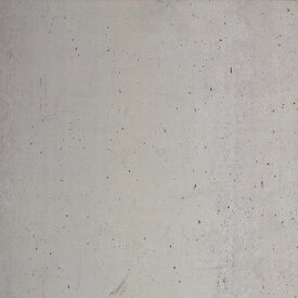 輸入壁紙の切り売り（横巾48.7cm×1m単位で切売）NLXL / CONCRETE WALLPAPER BY PIET BOON NLXL / コンクリート・ウォールペーパー CONCRETE WALLPAPER CON-01【国内在庫】