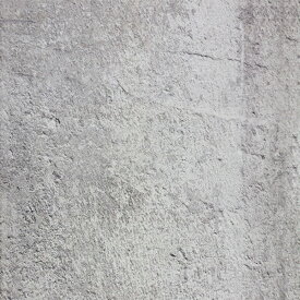 輸入壁紙の切り売り（横巾48.7cm×1m単位で切売）NLXL / CONCRETE WALLPAPER BY PIET BOON NLXL / コンクリート・ウォールペーパー CONCRETE WALLPAPER CON-03【国内在庫】