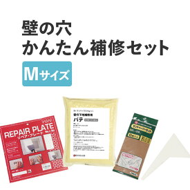 25日30名様20％OFFクーポン 壁の穴・キズ補修簡単セット Mサイズ 壁紙屋本舗