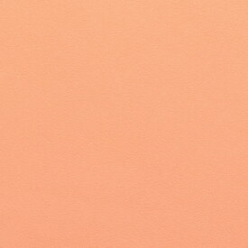心に強く訴えるサーモン ピンク 壁紙 すべての美しい花の画像