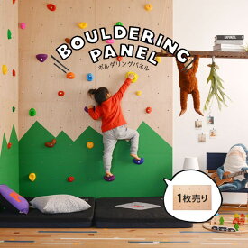 楽天市場 ボルダリングの通販