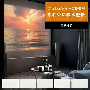ySiΏۃN[|zzz ǎ vWFN^[p ̂t mP S5 XN[  zCg TQc Yǎ NX DIY tH[ ǎ{