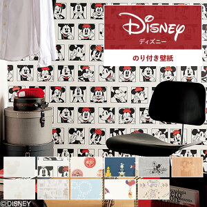 ySiΏۃN[|zzz ǎ fBYj[ ̂t mP ǎŕ̃CeA S11 Disney L ~bL[ v[  zCg u[  RN[g ؖ TQ