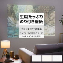 楽天市場】プロジェクタースクリーン（壁紙・装飾フィルム｜インテリア 