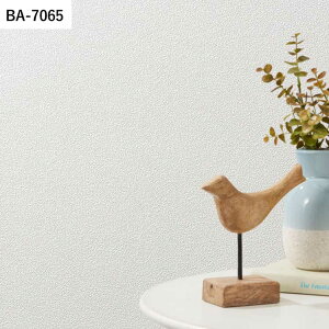 ySiΏۃN[|zzz ǎ ̂t LJ[ZNV vol.04 BA7064 BA7065 BA7066 h  D ǎŕ̃CeA VR[ rO gC DIY 