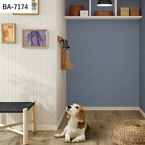 ySiΏۃN[|zzz ǎ ̂t n[h^Cvǎ vol.02 BA7168 BA7169 BA7170 k D ǎŕ̃CeA VR[ rO gC DIY tH[ ǎ