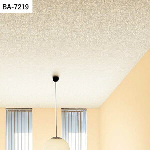 ySiΏۃN[|zzz ǎ ̂t Vɂ߂ȕǎ vol.03 BA7219 BA7220 BA7221 _}XN ؖ ǎŕ̃CeA VR[ rO gC DIY tH[ 